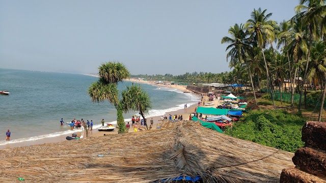 Sea Food Shacks