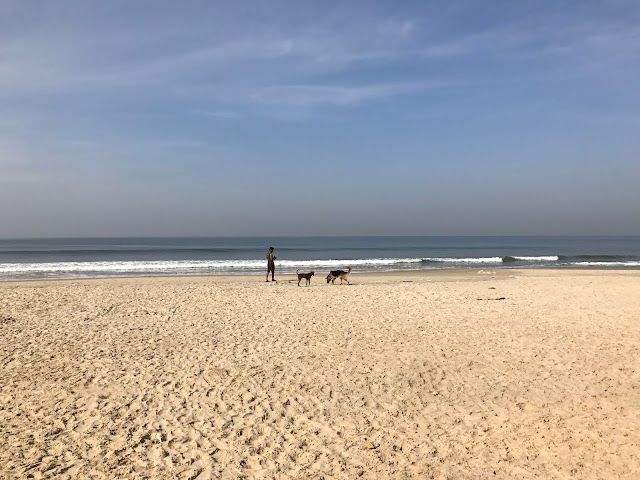 The Pretty Beach Of South Goa